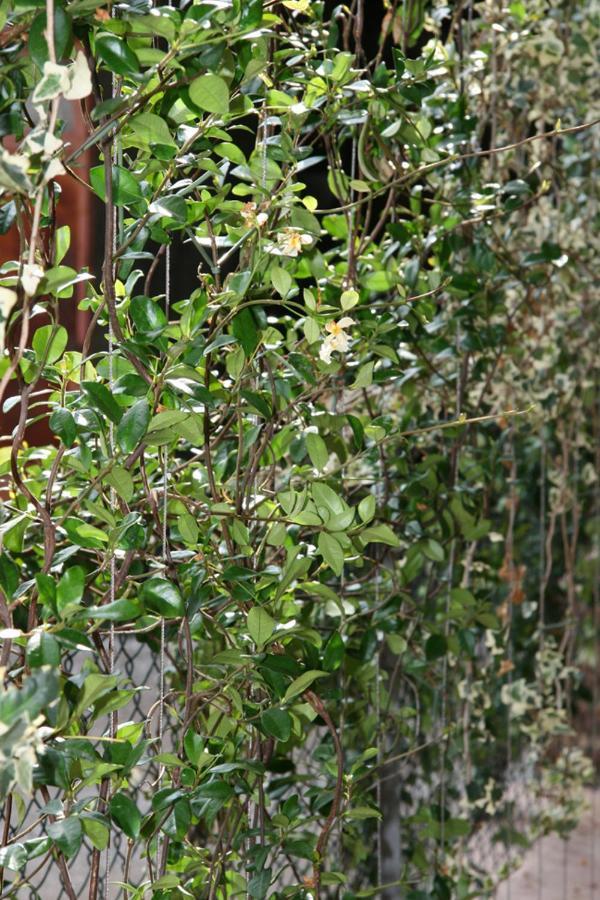 Le Tre Arti B&B San Zenone Exteriör bild